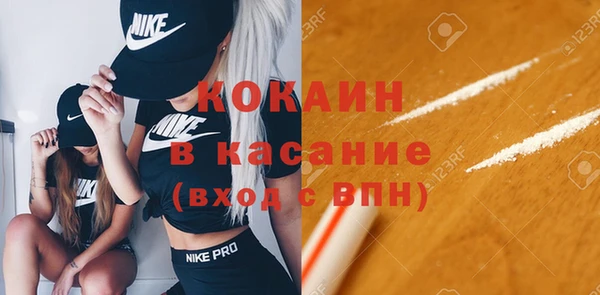 твердый Алексеевка