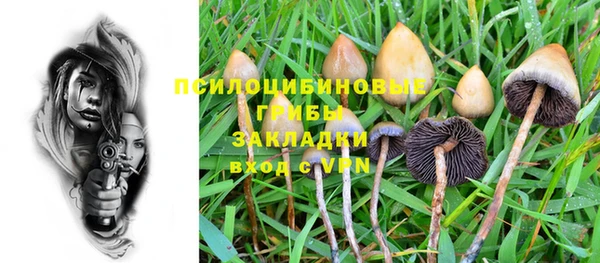 твердый Алексеевка