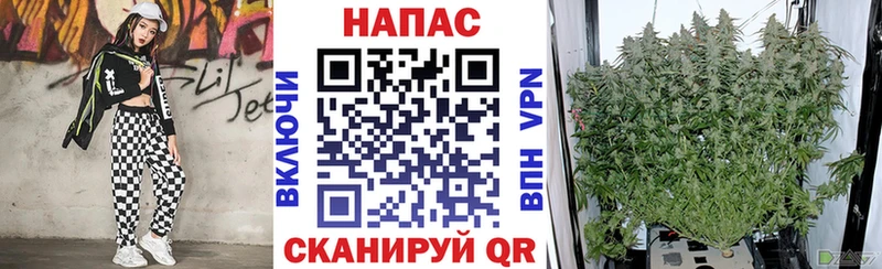 Бошки Шишки сатива  Нытва 